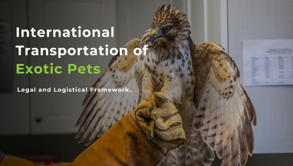 Transportation of Exotic Pets: Legal &amp; Logistical Framework.